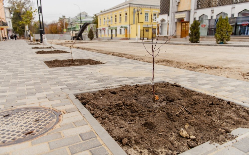 Блогер Варламов раскритиковал мэрию Таганрога за озеленение главной улицы города